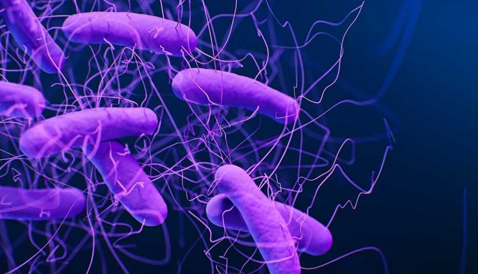 Representación digital de bacterias microscópicas conocidas como c. diff o clostridioides difficile