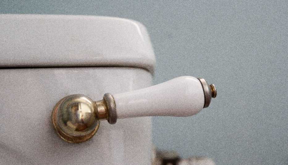 Manija de un toilet
