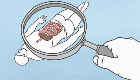 Ilustración de una mano con una lupa observando un cuerpo humano donde se destacan los órganos internos