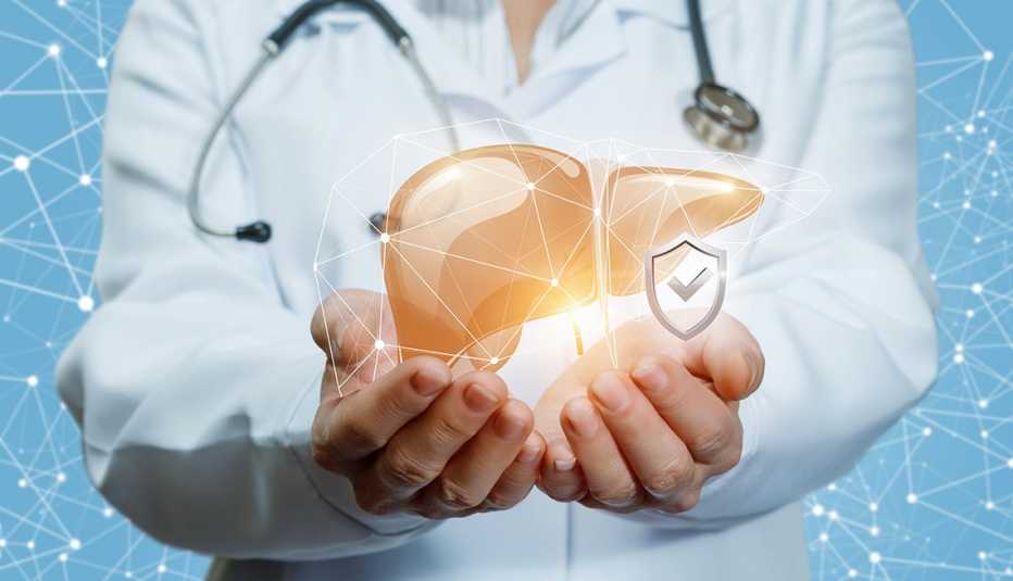 Doctor sostiene en sus manos un gráfico computadorizado de un hígado humano