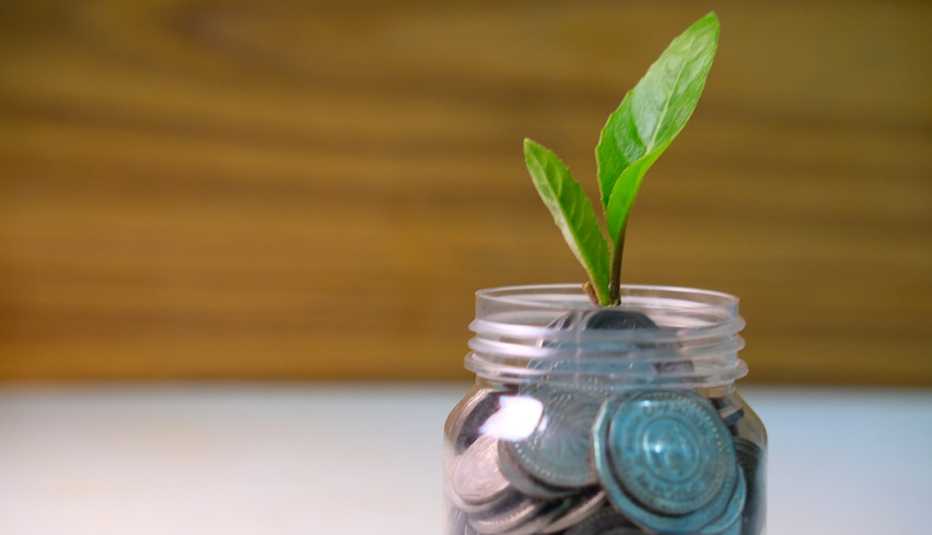 Jarra con monedas y una planta encima