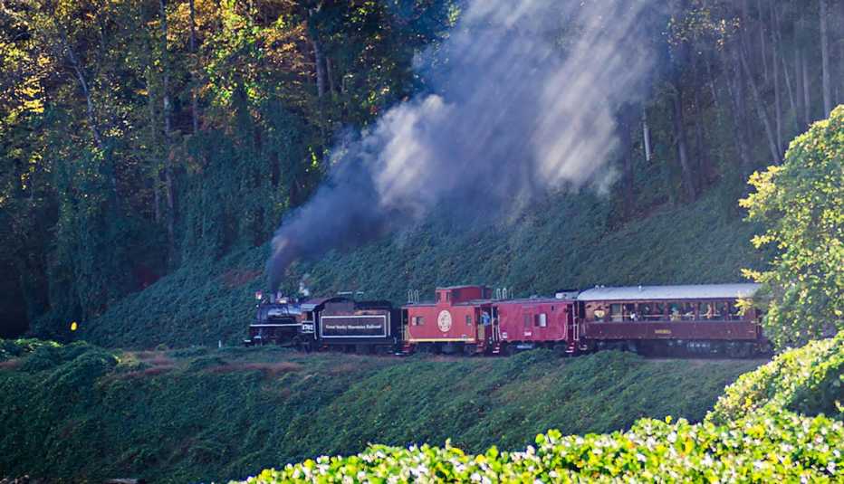 Tren de pasajeros en el Ferrocarril Great Smoky Mountain