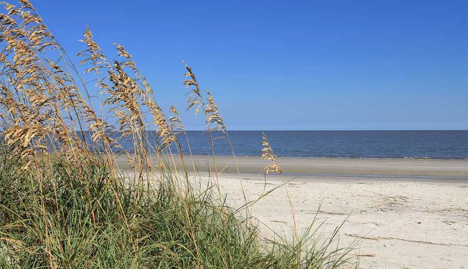 césped de dunas frente a la playa y el océano en Jekyll Island, Georgia