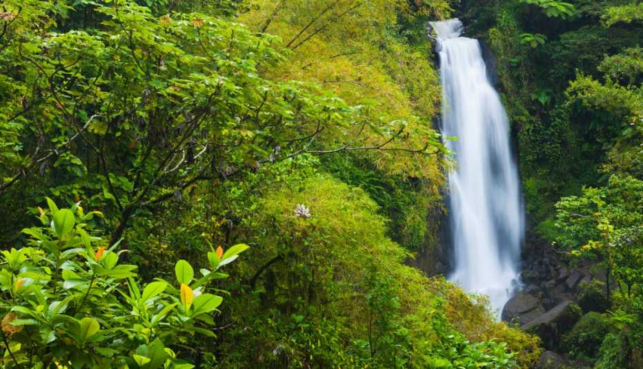 Trafalgar falls