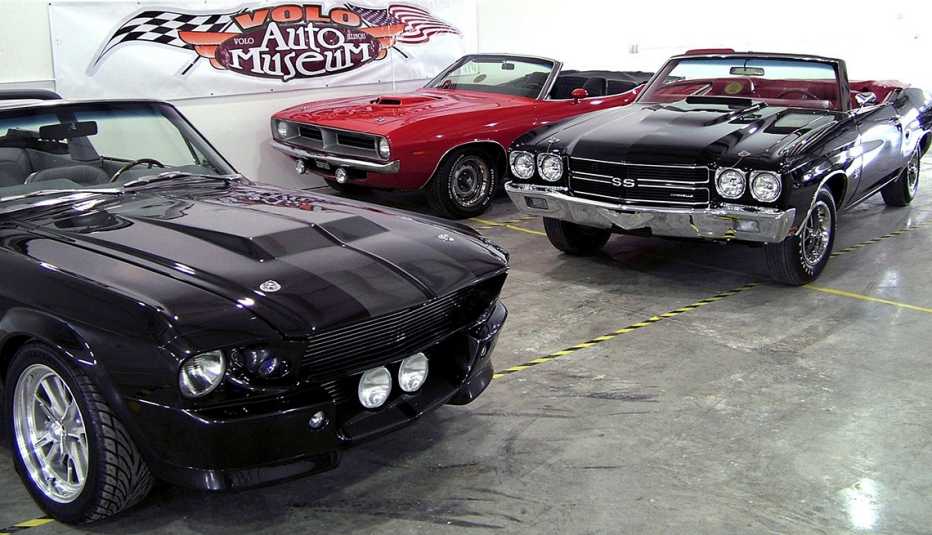 Volo Auto Museum