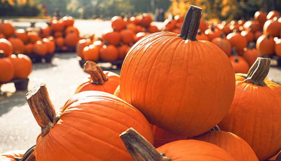 Huerto de calabazas