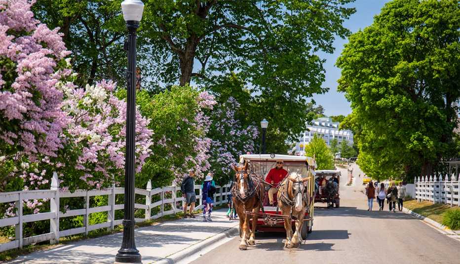 Paseo en Carruaje durante el Mackinac Lilac Festival