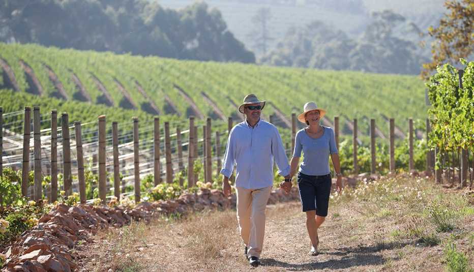 Pareja camina por un viñedo orgánico.