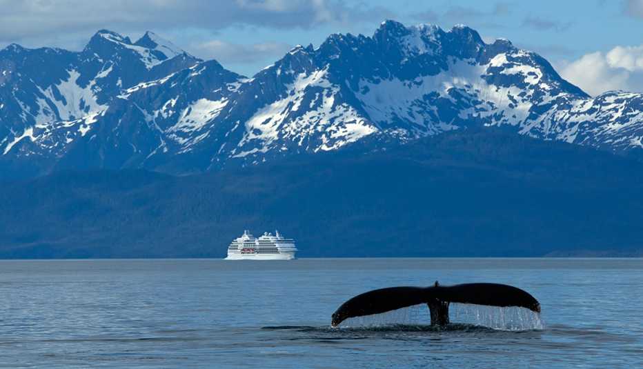 Ballena jorobada que avanza en el canal Lynn con un crucero en la distancia