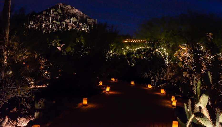 Luminarias y luces del jardín botánico del desierto