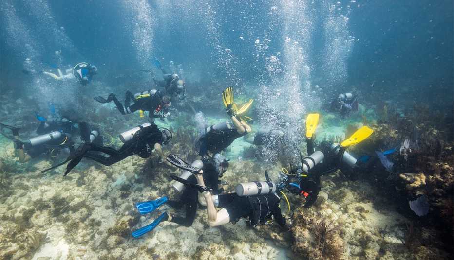 Buzos sumergidos en el evento Corapolooza para la Coral Restoration Foundation