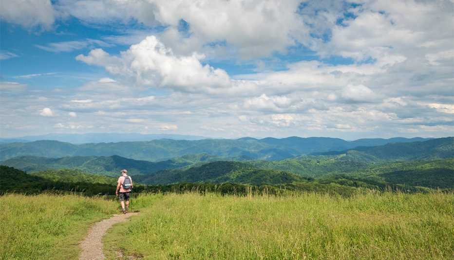 Sendero en Max Patch Bald Mountain, Carolina del Norte