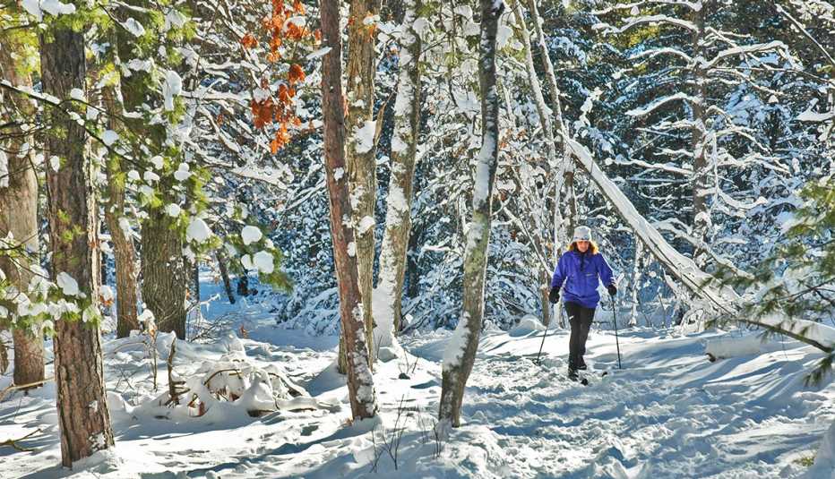Mujer esquía entre los arbustos con nieve