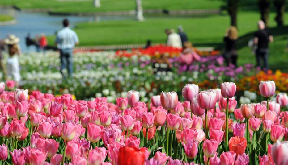 Gente caminando por un jardín