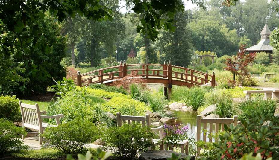 Jardín japonés y puente de madera