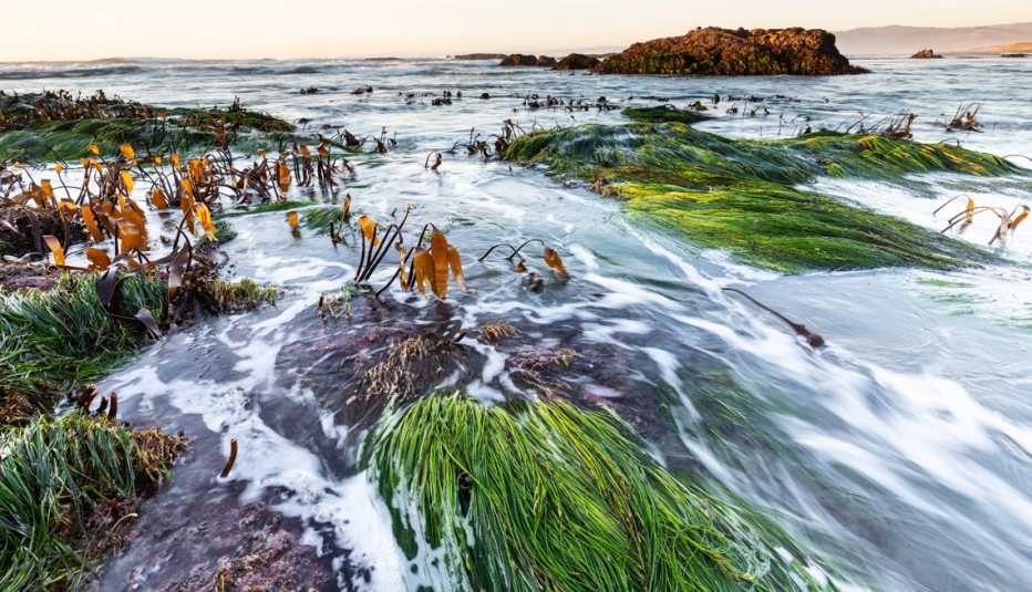 Parque estatal Mackerricher en el condado de Mendocino, California