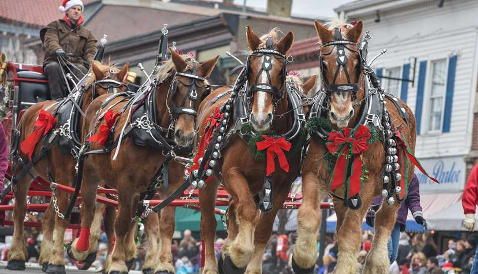 Caballos adornados para la parada y festival de carruajes